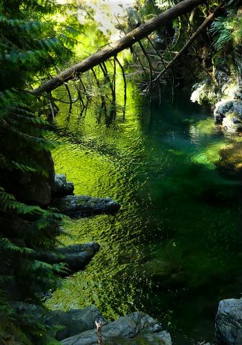 Lynn Canyon