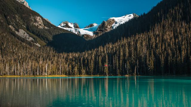 Joffre Lake