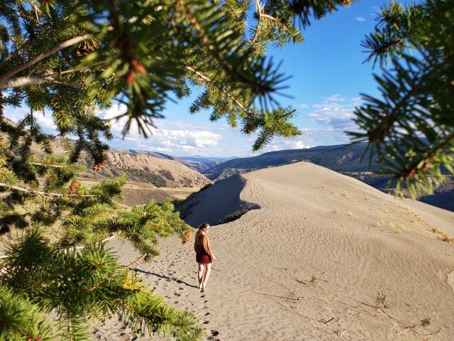 Farwell Canyon Sand Dune Trail