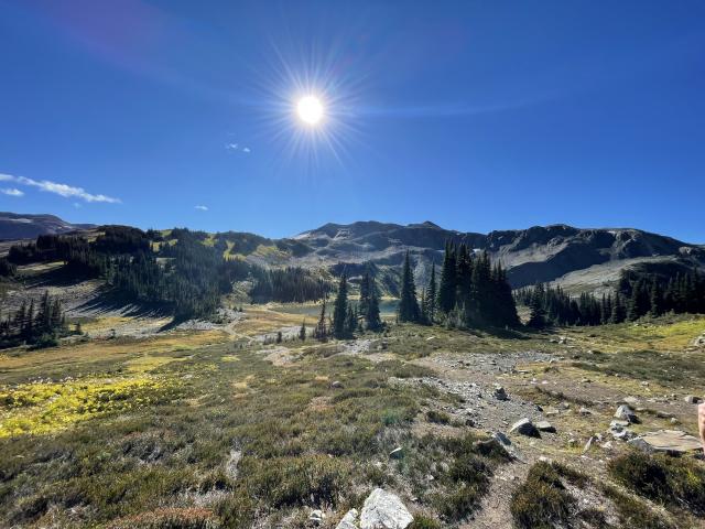 Panorama Ridge Trail