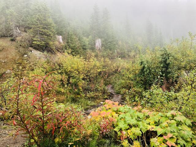 Watersprite Lake Trail