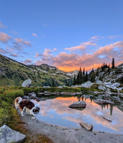 Mariott Lake