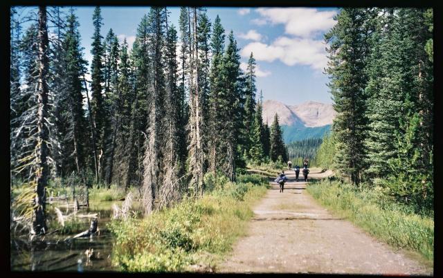 Bryant Creek Trail