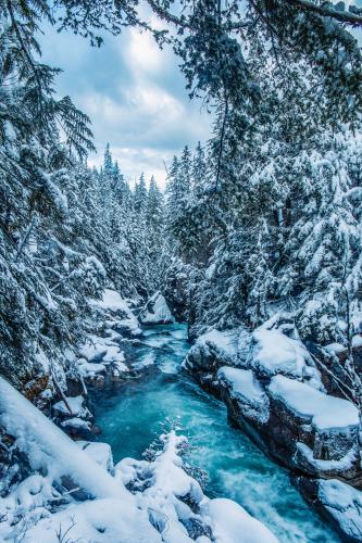 Kimbol Lake Trail