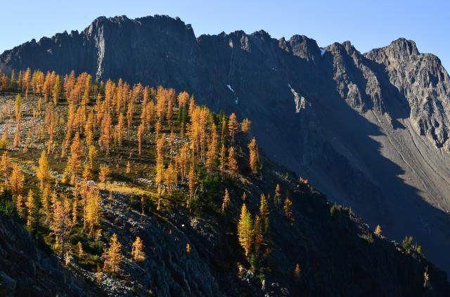 Frosty Mountain