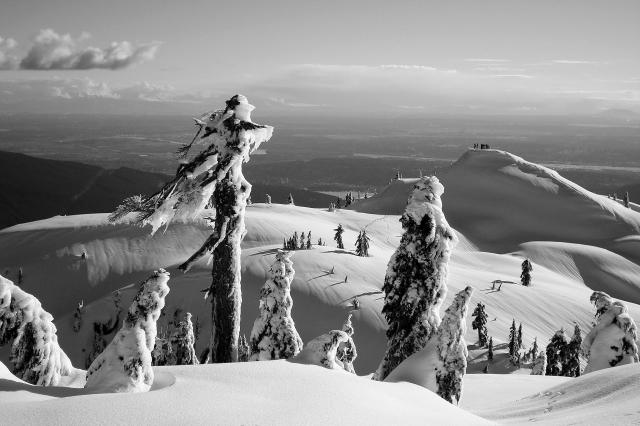 Pump Peak Trail