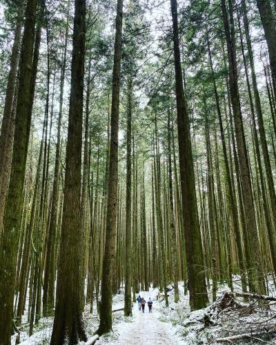 Mike Lake Trail