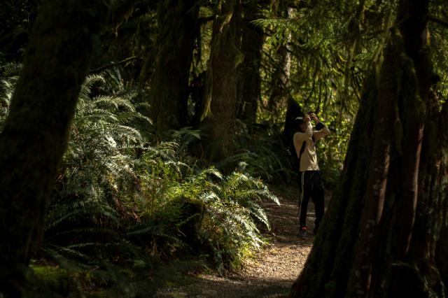 Buntzen Lake Trail