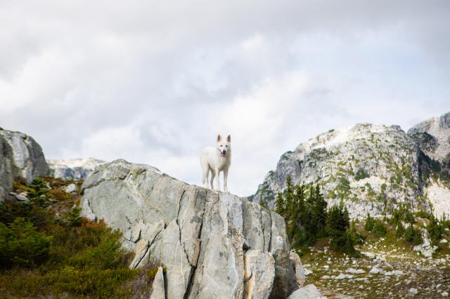 Blanca Lake