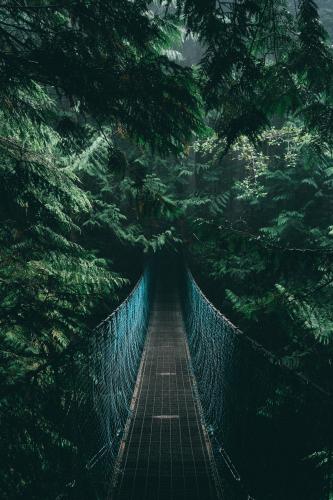 Juan De Fuca Marine Trail