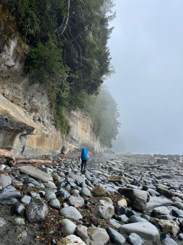 Juan De Fuca Trail