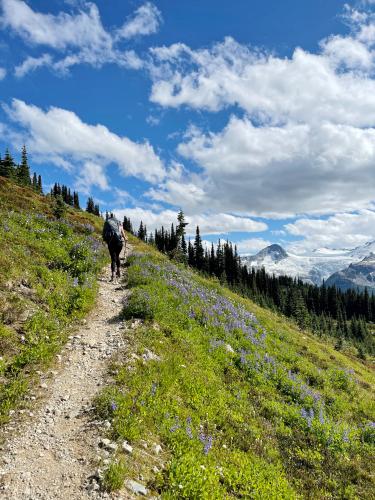 Musical Bumps - Russet Lake