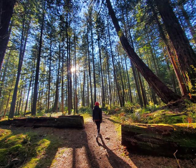 Minnekhada Regional Park