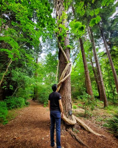 UBC Botanical Garden