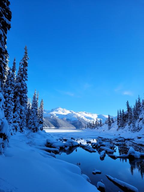 Garabaldi Lake