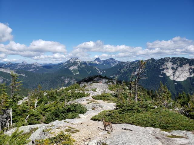 Needle Peak Trail To Flatiron