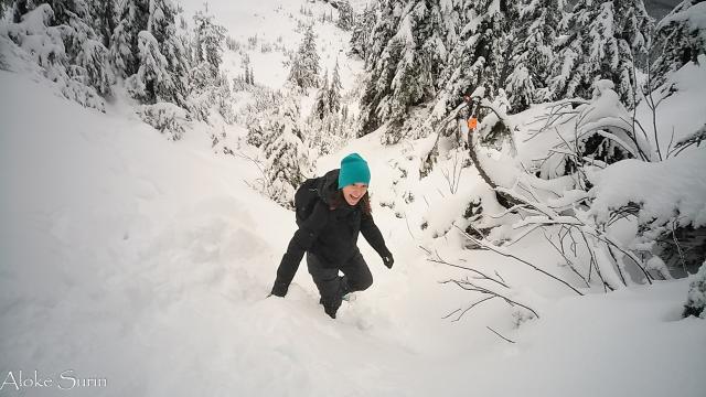 Mount Seymour Trail