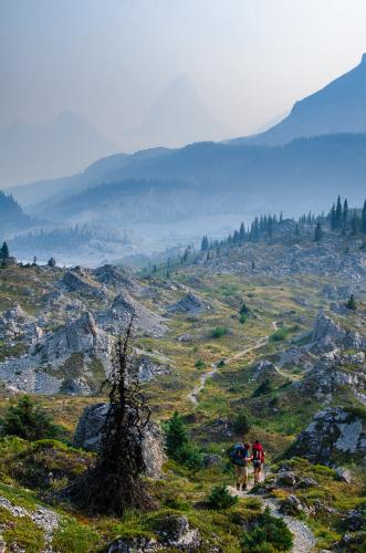 Assiniboine Pass