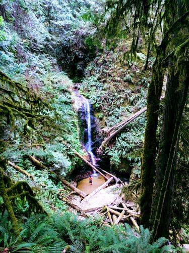 Brunnet Falls Trail