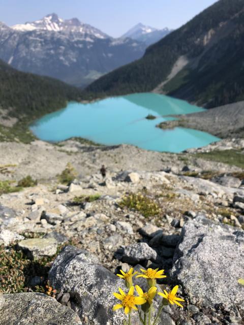 Joffre Lakes