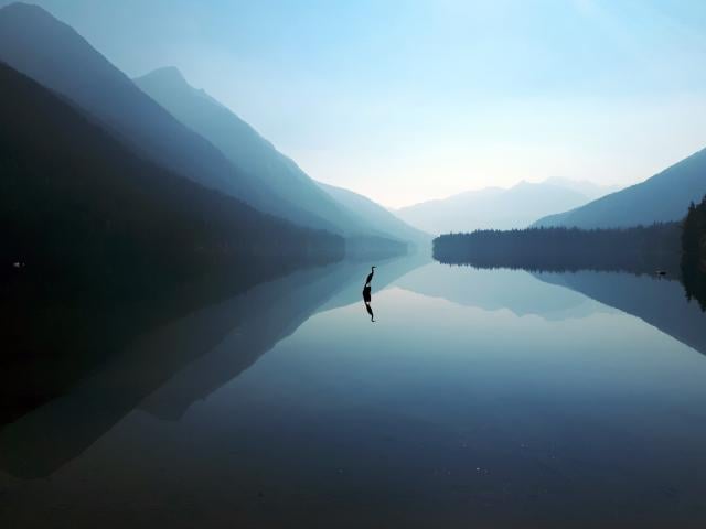 Birkenhead Lake Trail