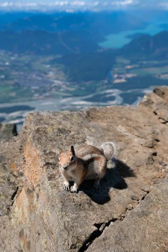 Mount Cheam