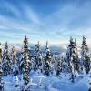 Hollyburn Peak