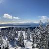 Hollyburn Peak Trail