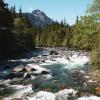 Golden Ears Canyon Loop