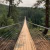 Golden Skybridge