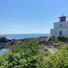 Wild Pacific Trail: Lighthouse Loop