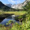 Little Douglas Lake