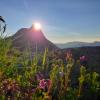 Needle Peak