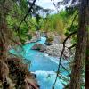 Whistler Trainwreck and Millar Creek trail