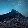 Mt Webb saddle trail