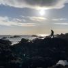 Ucluelet Lighthouse Loop