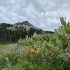 Black Tusk Trail