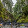 Nootka Trail