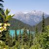 Joffre Lake