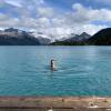 Garibaldi Lake Hike