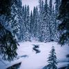 Lightning Lake Trail