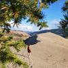 Farwell Canyon Sand Dune Trail