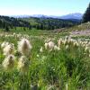 Three Brothers (Heather Trail)