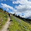 Musical Bumps - Russet Lake