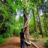 UBC Botanical Garden