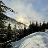 Bowen Lookout Snowshoe at Cypress Provincial Park