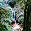 Brunnet falls trail