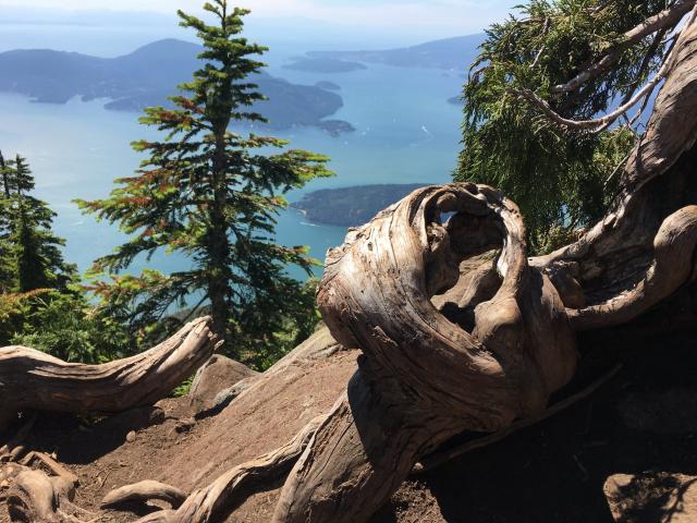 Howe Sound Crest Trail