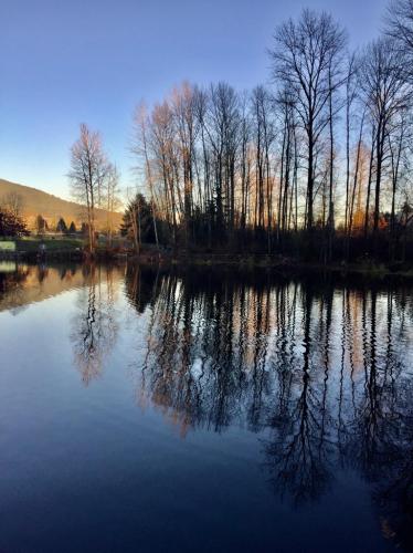 Coquitlam Town Centre Park Trail