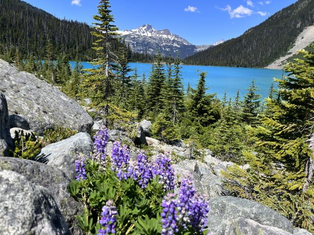 Joffre Lakes